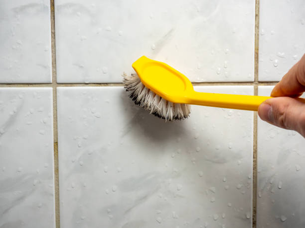 Best Mold Removal Near Me  in Chatsworth, GA