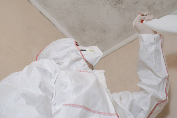 Best Crawl Space Mold Removal  in Chatsworth, GA