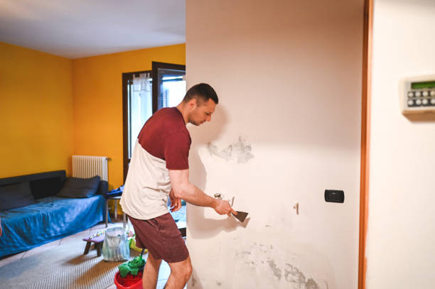 Best Mold Removal Near Me  in Chatsworth, GA